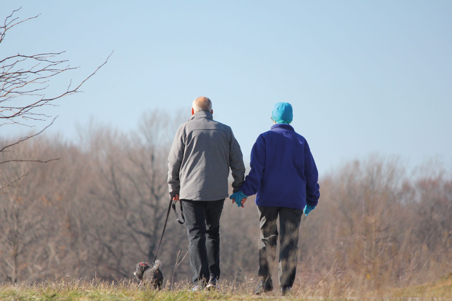 Elderly couple enjoying a winter dog walk.
